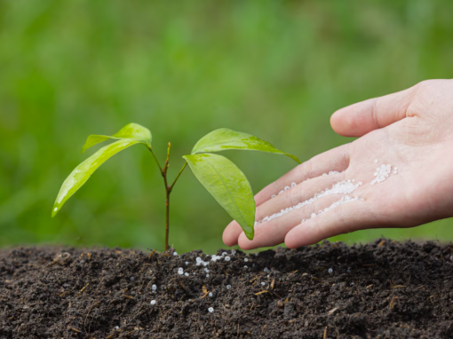 Hydrogen’s Role in Securing America’s Fertilizer Supply