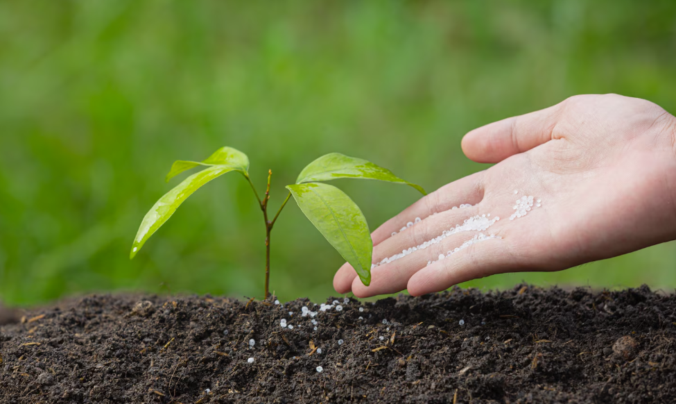Hydrogen’s Role in Securing America’s Fertilizer Supply